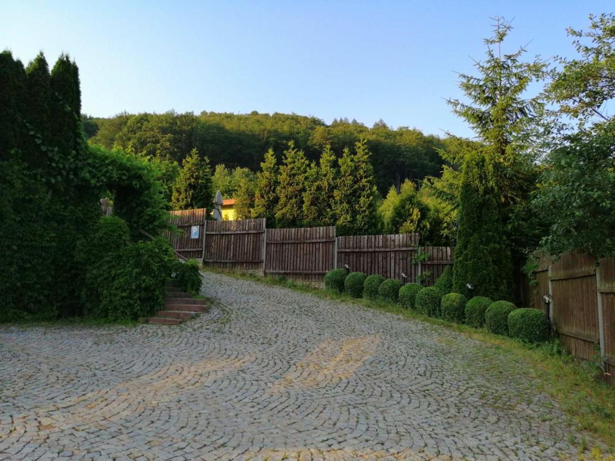 Ostello Zielone Wzgorze Wałbrzych Esterno foto